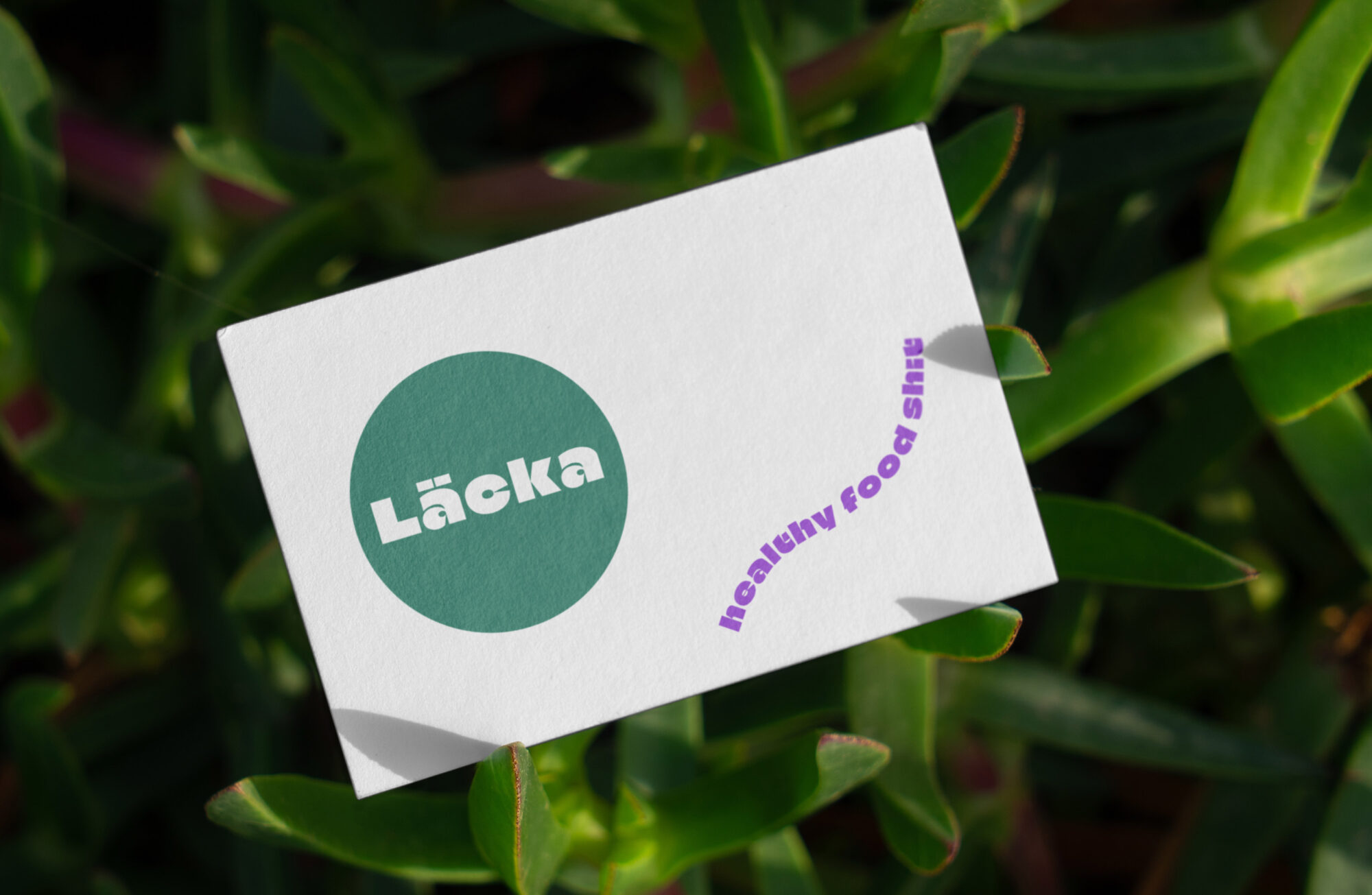 Laecka_VK